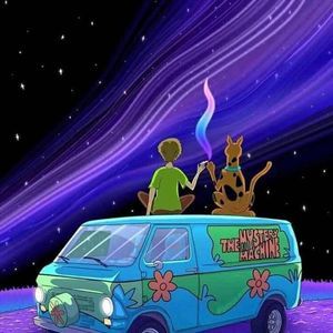 Meet your Posher, Blake